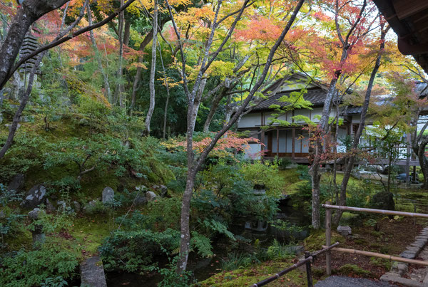 京都嵐山 常寂光寺の紅葉