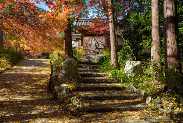 京都亀岡・神蔵寺の紅葉
