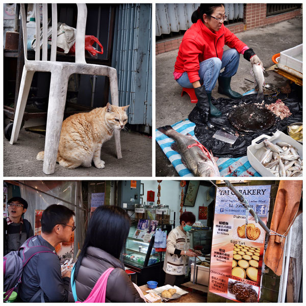 香港漁業の町「大澳（タイオウ）」