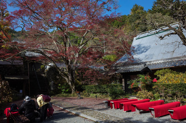 京都亀岡・神蔵寺の紅葉