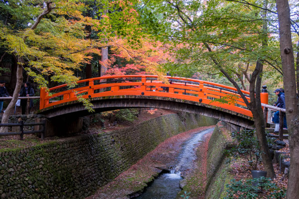 京都・北野天満宮の紅葉