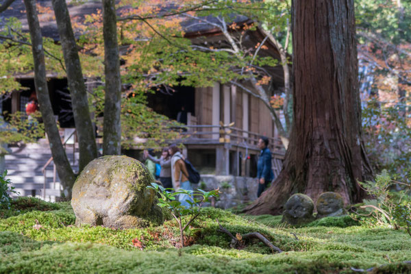 京都大原三千院の紅葉とわらべ地蔵