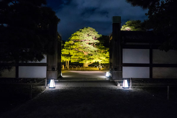 京都ライトアップイベント「京の七夕」二条城会場