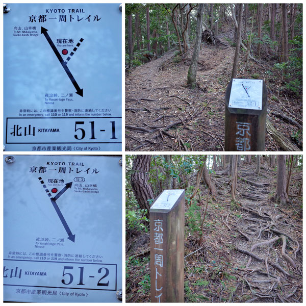 【京都トレイル北山西部コース】「北山51-1」「北山51-2」