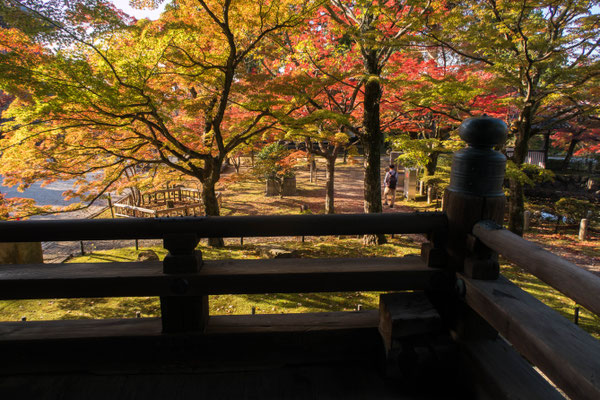 京都・真如堂紅葉