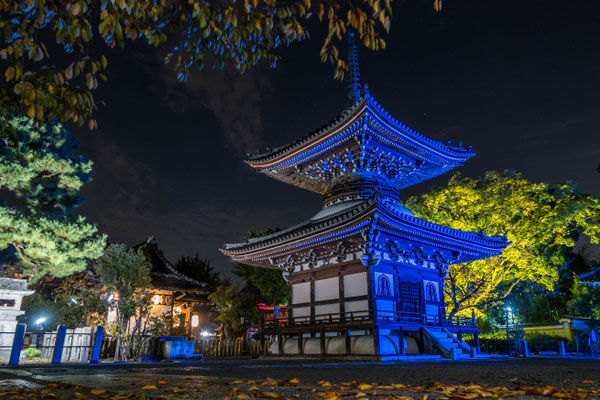 京都・本法寺ライトアップ