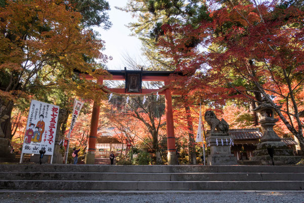 京都亀岡・鍬山神社の紅葉