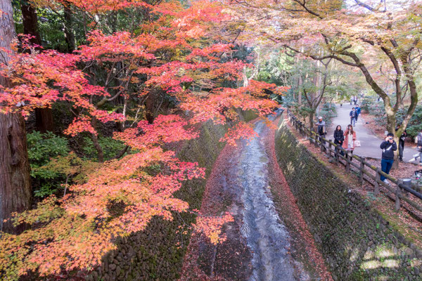 京都・北野天満宮の紅葉