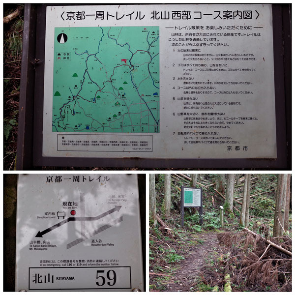 【京都トレイル北山西部コース】「北山59」