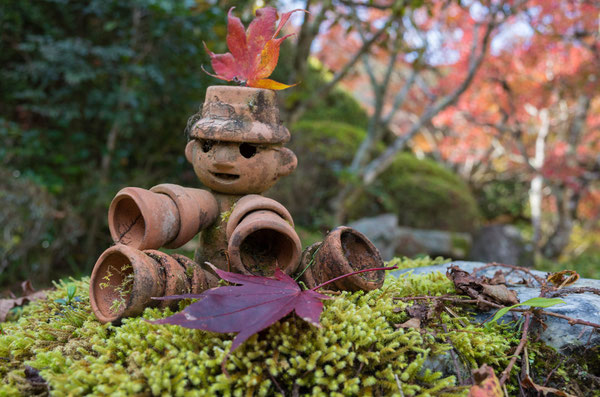 京都亀岡・神蔵寺の紅葉