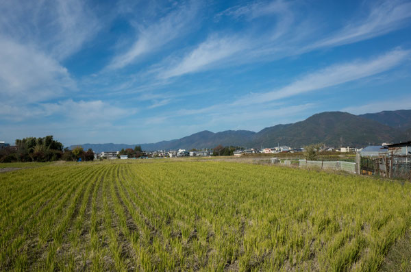 京都亀岡の田園風景