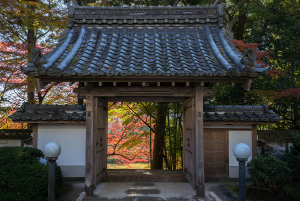 京都亀岡 苗秀寺の紅葉