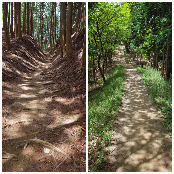 京都一周トレイル 北山東部コース