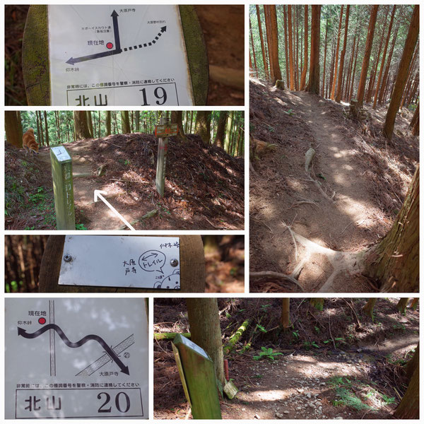 京都一周トレイル 北山東部コース 「北山19」