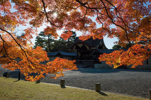 京都御苑の紅葉