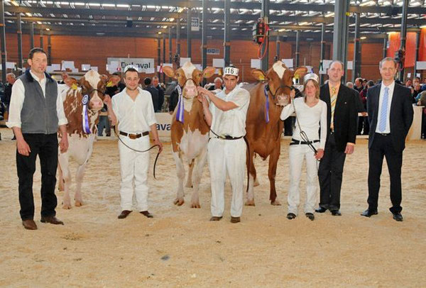 v.l.n.r. Championne: Valbiofarms Joyboy Kenia, Reserve-Championne: Schuwey Joyboy Rihanna, Ehrenerwähnung: Louberwil Mateo Optima / Foto: schweizerbauer