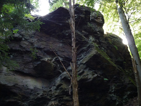 Hirschenstein an der alten Aschbergschanze