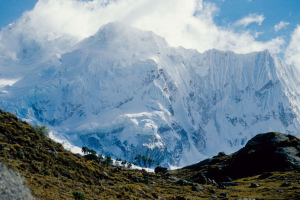 Palcaraju (6274m) im oberen Ende des Cojup-Tales (Cordillera Blanca)