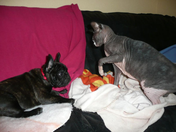 Doussia & Djune 4.11.09