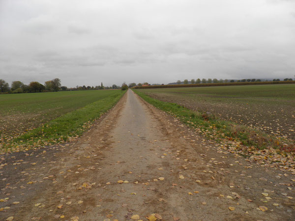 Brandkoppelweg ,noch nicht obtimal