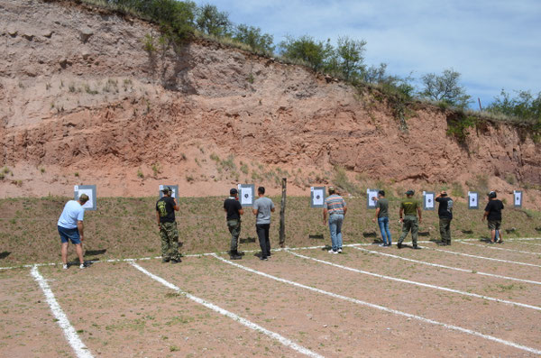 Actividad de ALUProC