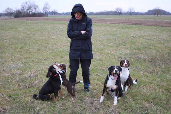 Appenzeller Sennenhunde aus dem Flößerdorf 2018