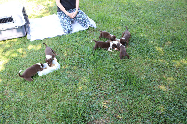 Picknick im Garten