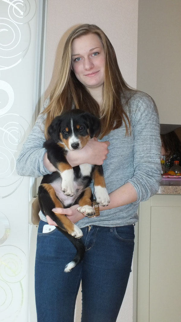 Anton Appenzeller Sennenhunde Aus Dem Flosserdorf