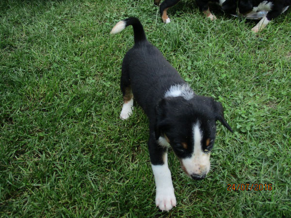 Casper aus dem Flößerdorf