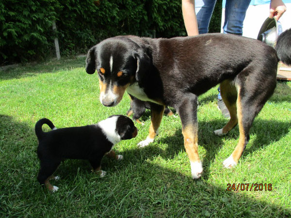 Caio mit Oma Mara