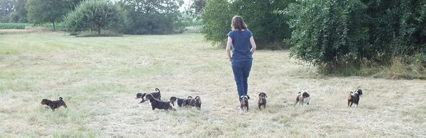 Kirsten Becker, Appenzeller-Hundezucht aus dem Flößerdorf