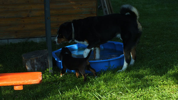 Caruso mit dem Opa