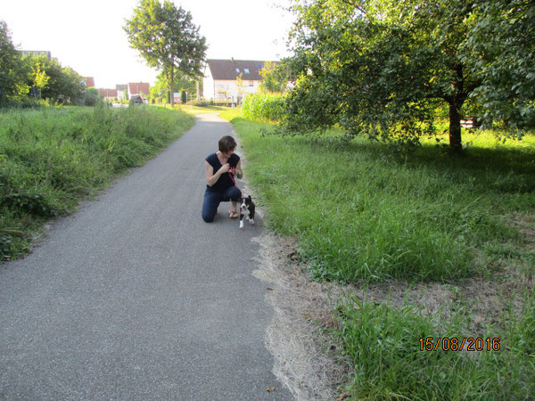 "Einzeltraining" entlang der Hauptstraße.