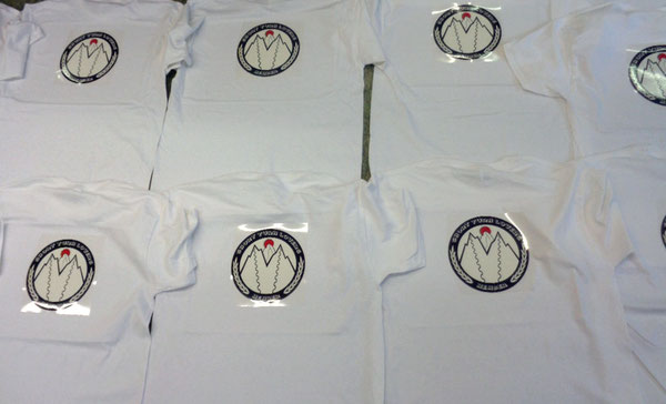 T-Shirts individuell bedruckt. Hemden mit logo drucken oder bedrucken in der Schweiz. Hochwertig sticken wir Ihr Logo auch auf Poloshirts, t-shirts, jacke, hemden, kochjacke und berufsbeckleidung