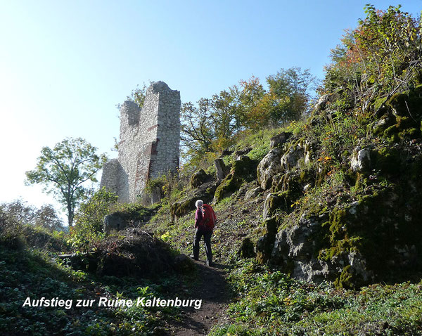 Ein kleiner Teil der Wandergruppe auf der Jahreshauptwanderung 2019. Aussichtsp. Rachelsberg 523 m NN
