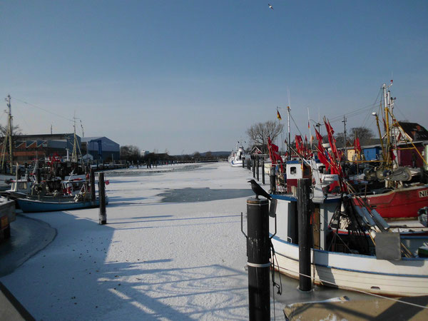 Fischerhafen-Niendorf im Feb.