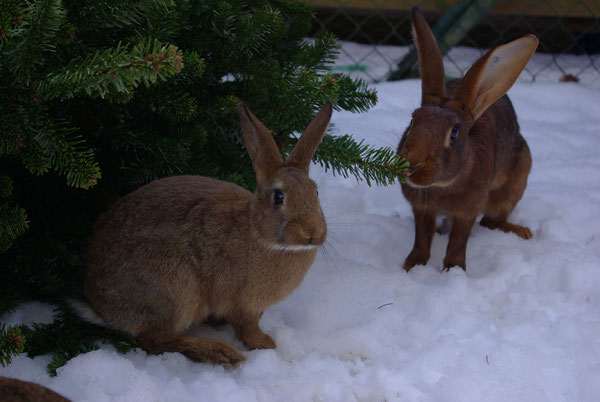 Rechts die Mama :)