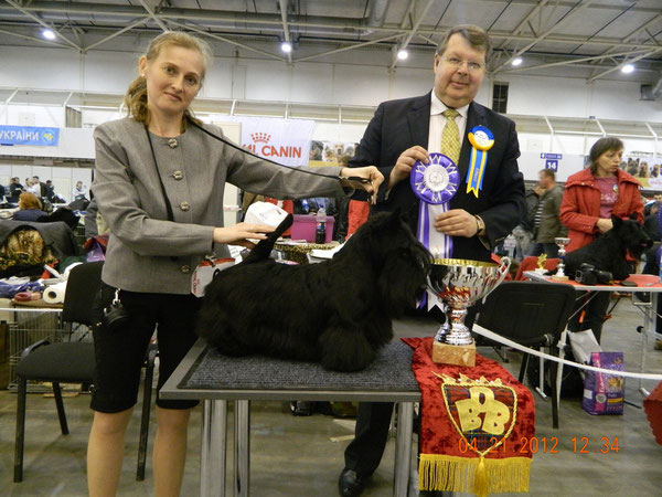 Best of breed in Scottish terrier Championship. Judge - Dan Ericsson, Denmark. Photo by Nataliya Kapravchuk.