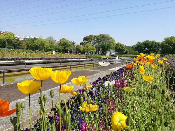 展示会の期間中は好天に恵まれ、多数の方がご来場くださいました。