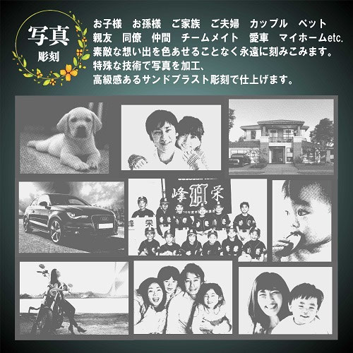 技術解説画像