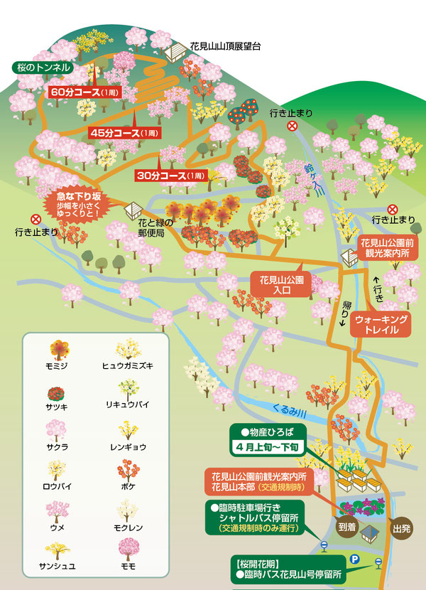 花見山イラストマップ地図