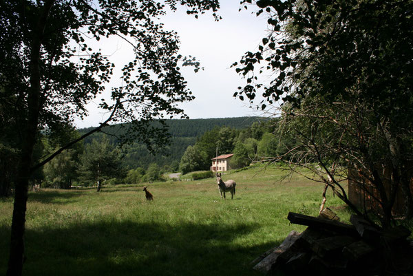 Le gite et son environnement