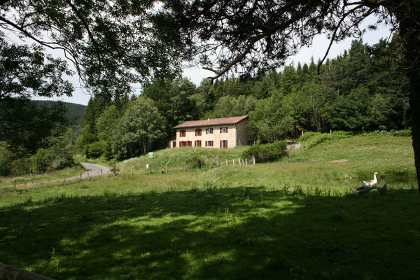 Le gite abrité par la foret