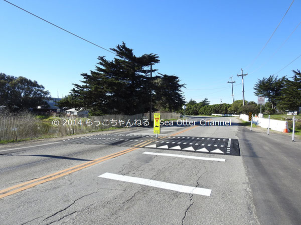 世界で唯一の「ラッコ用横断歩道」が完成した。