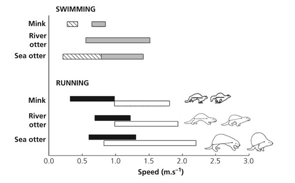 Macdonald et al. 2016