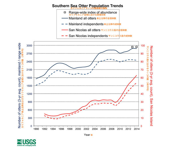 ▲USGSによるカリフォルニアラッコの個体数の傾向。実線は全体数、破線は成体数（子どもを抜いた数）を示す。カリフォルニア本土沿岸（青線）、サンニコラス島（赤線）、全域（□）IMAGE:USGS