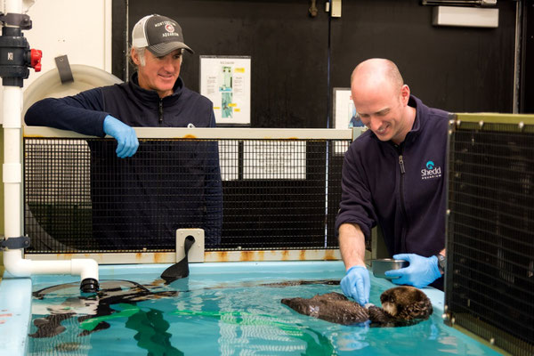 Photo credit: ©Monterey Bay Aquarium, photo by Tyson V. Rininger