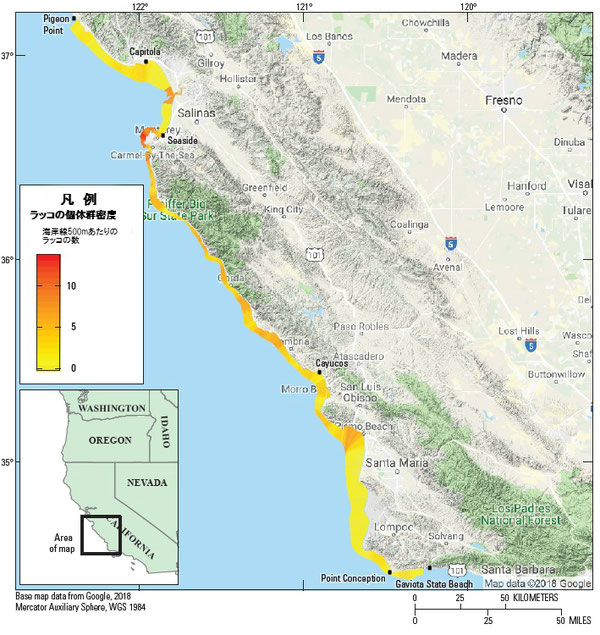図4:カリフォルニア本土中央沿岸部におけるカリフォルニアラッコ(Enhydra lutris nereis)の地域ごとの個体密度のバリエーション(沿岸500メートルあたりのラッコの数)。サンニコラス島の空間的に明白な分析が現在おこなわれていないため、サンニコラス島のデータは示されていない。