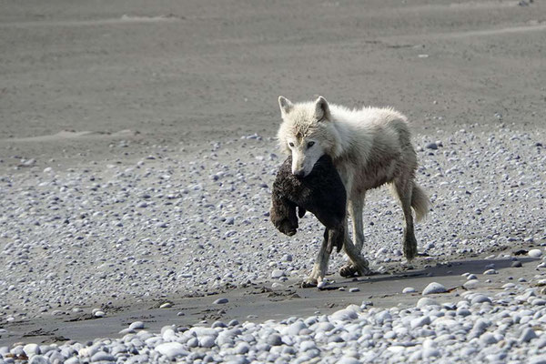 Image: National Park Service