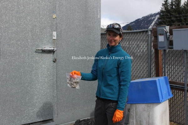 グレッグ・ストレベラーが集めたオオカミのフンを持っているグレッチェン・ロフラー(Photo by Elizabeth Jenkins/Alaska’s Energy Desk)